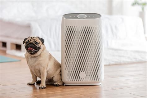 Levoit Core 600S Additional Features. . Best air purifier for pets